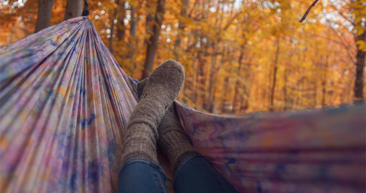 Your Fall Bucket List for the Ann Arbor Area